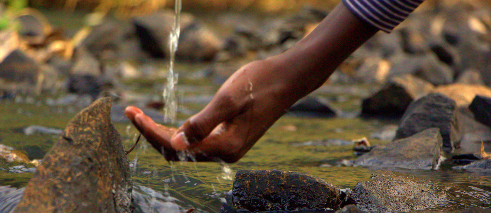 Your paragraph text (3)